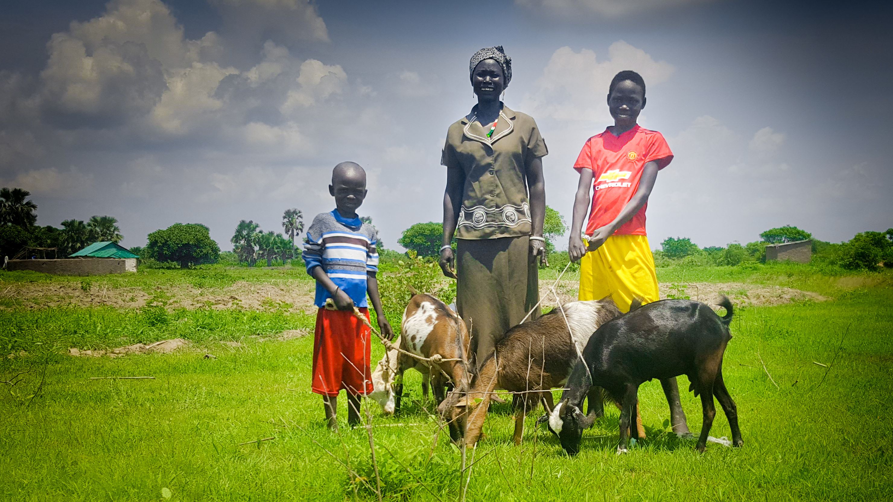 A woman and her sons stand in a field in South Sudan with the goats she bought through the community saving group 