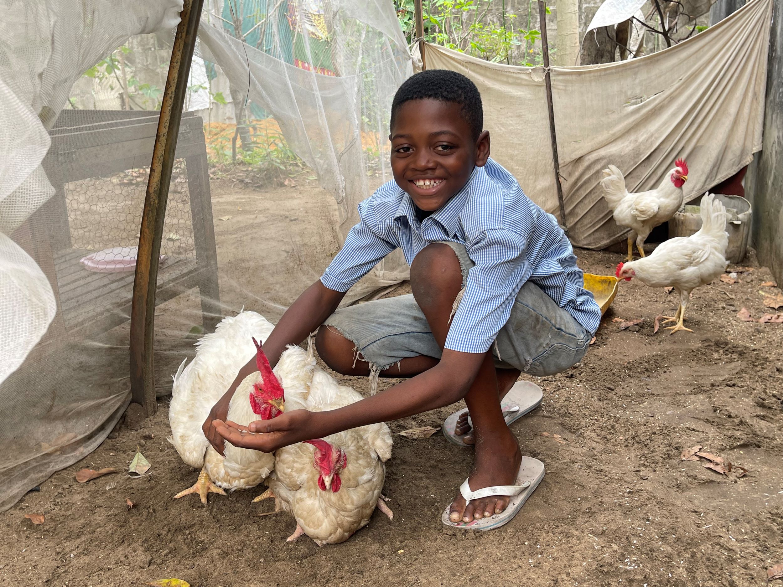 Rousse, a young boy in DRC, holds a chicken given to his gamily to help boost their income