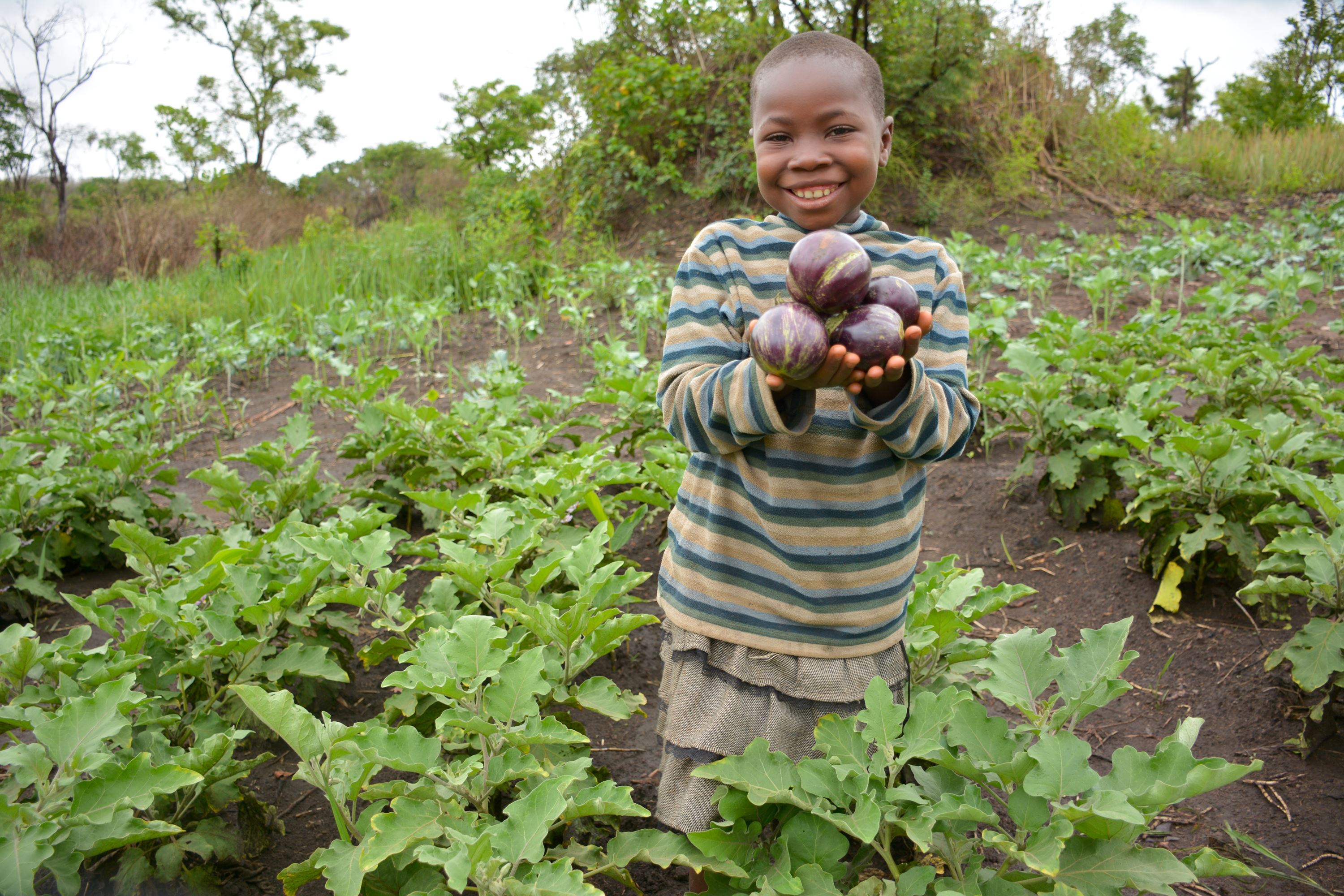 Child smiles at camera as he holds fruit in hands