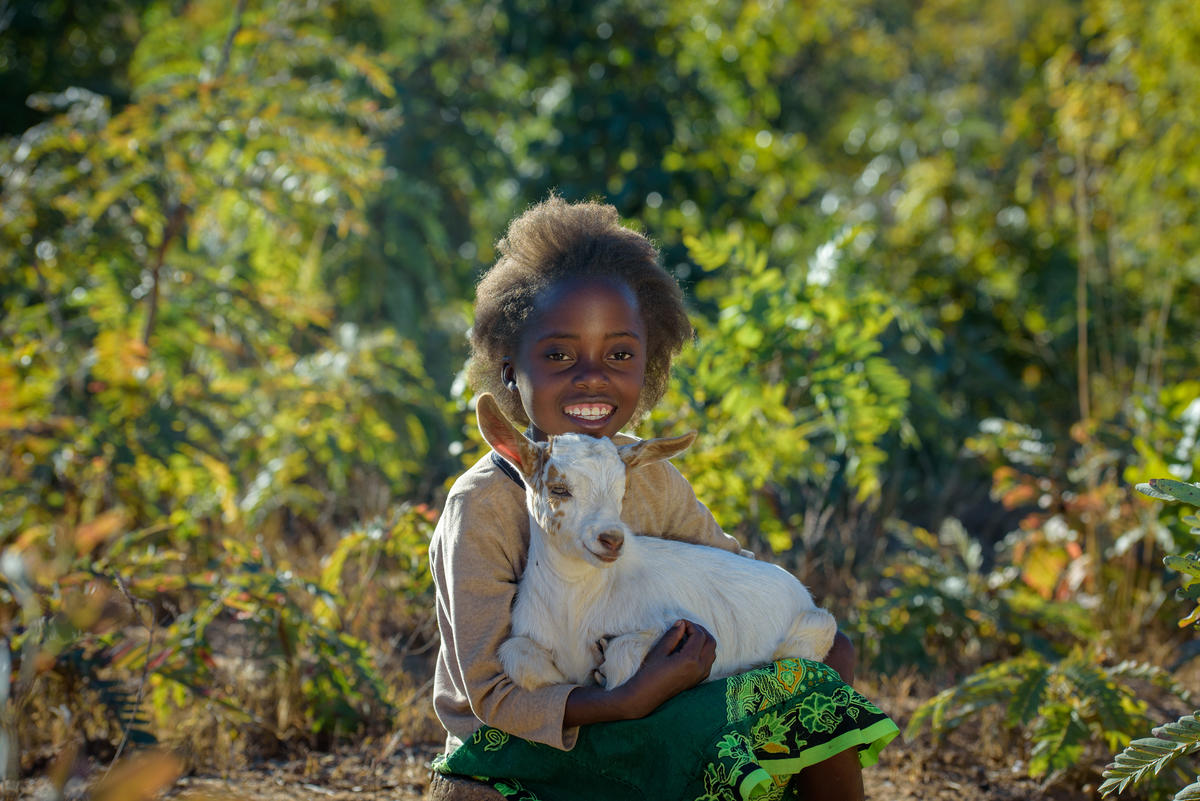 7 year old girl in Zambia holds goat in field of crops