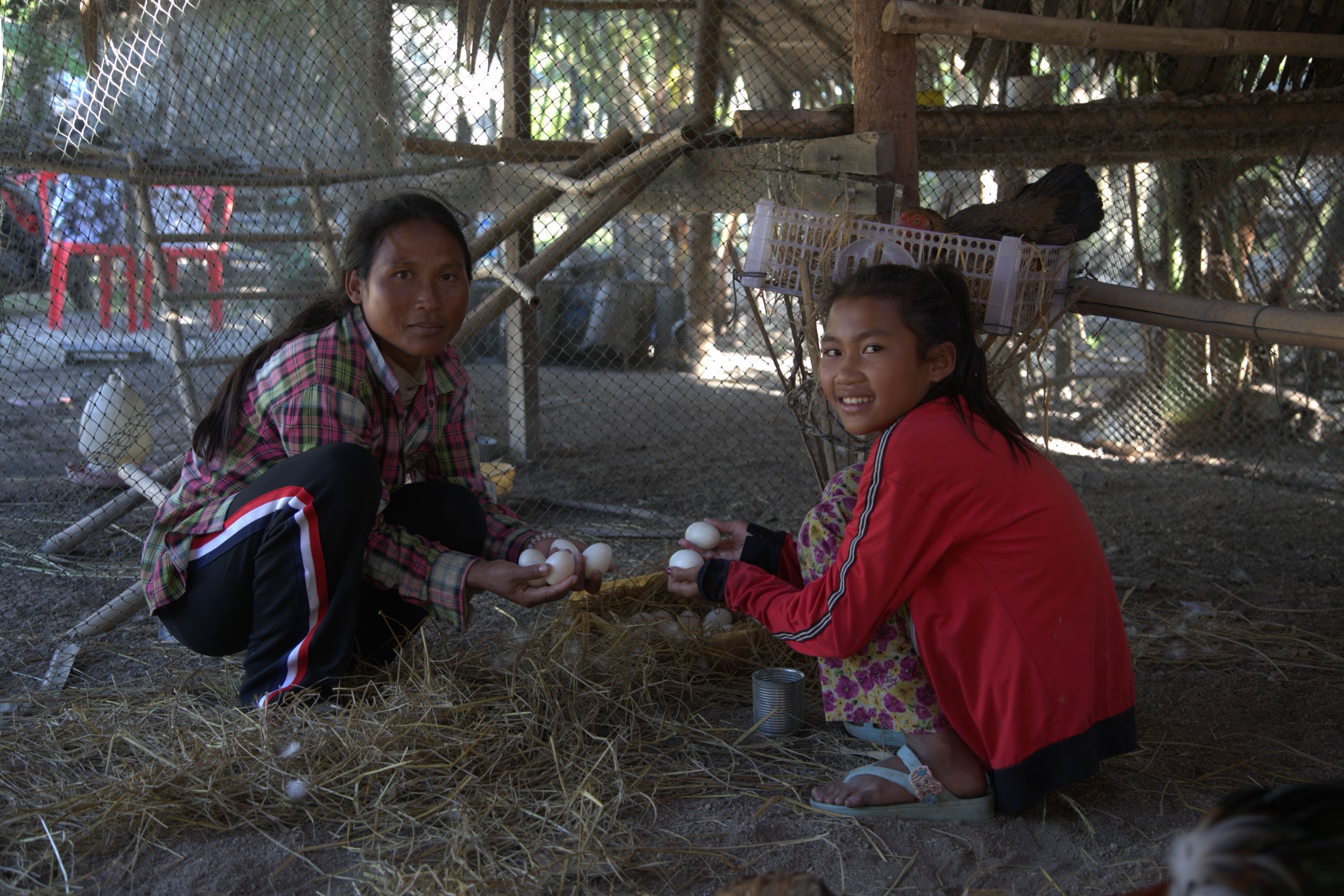 Cambodian mother and daughter collecting hens