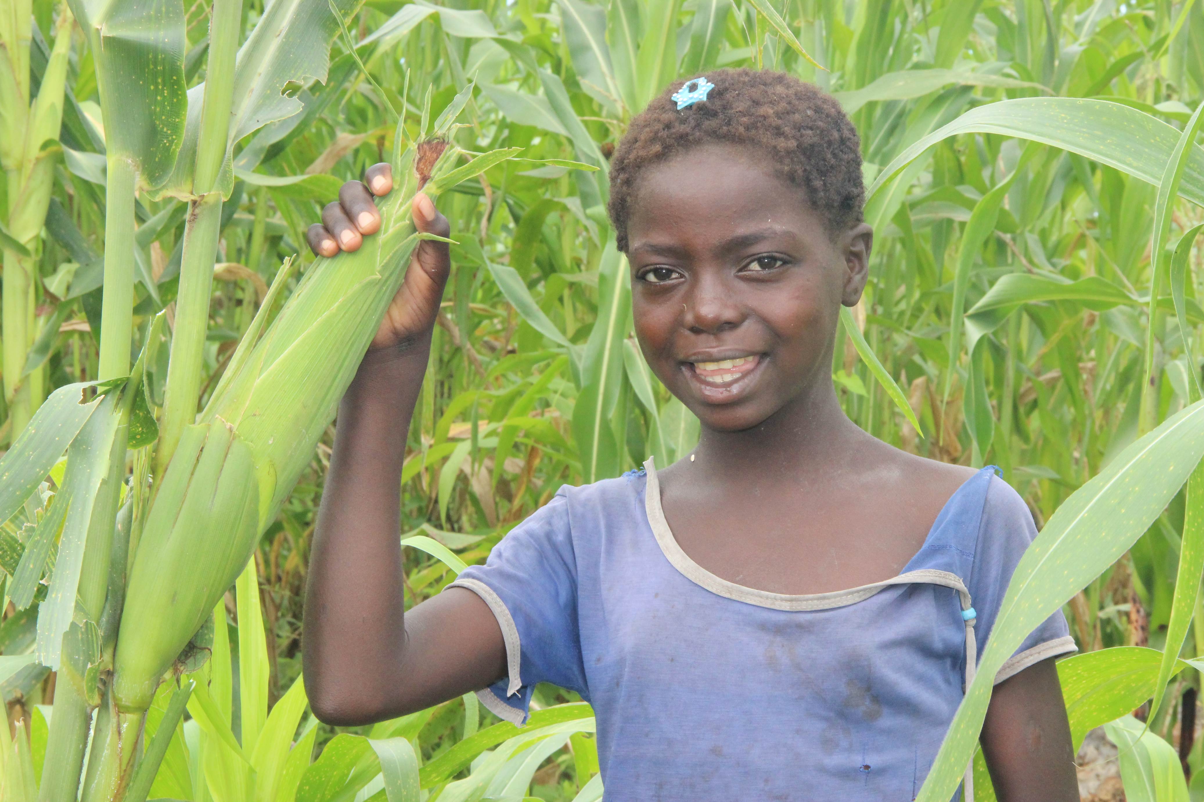 Girl from Mozambique smiles as she touches an ear of corn from hte field of corn she is standing in 